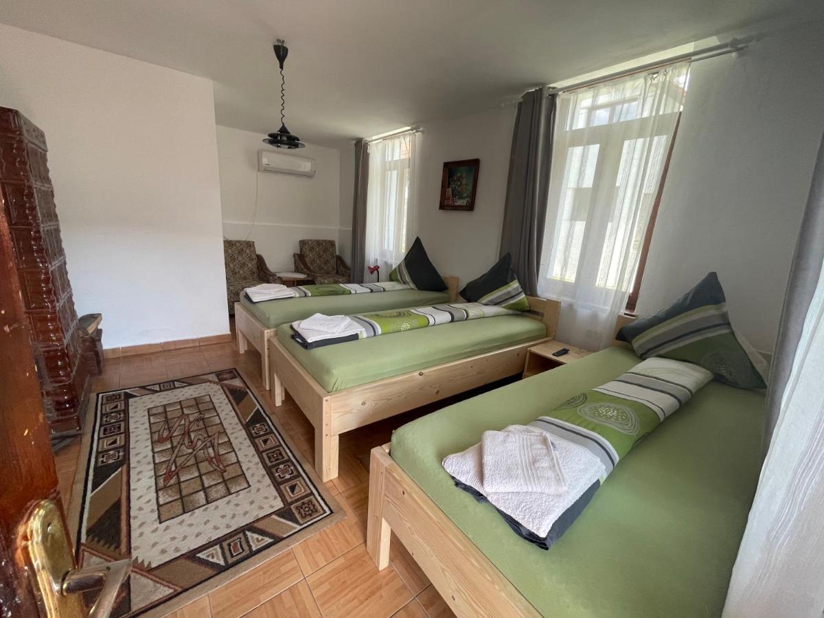 Pensiunea Dora Sasca Farm stay *
