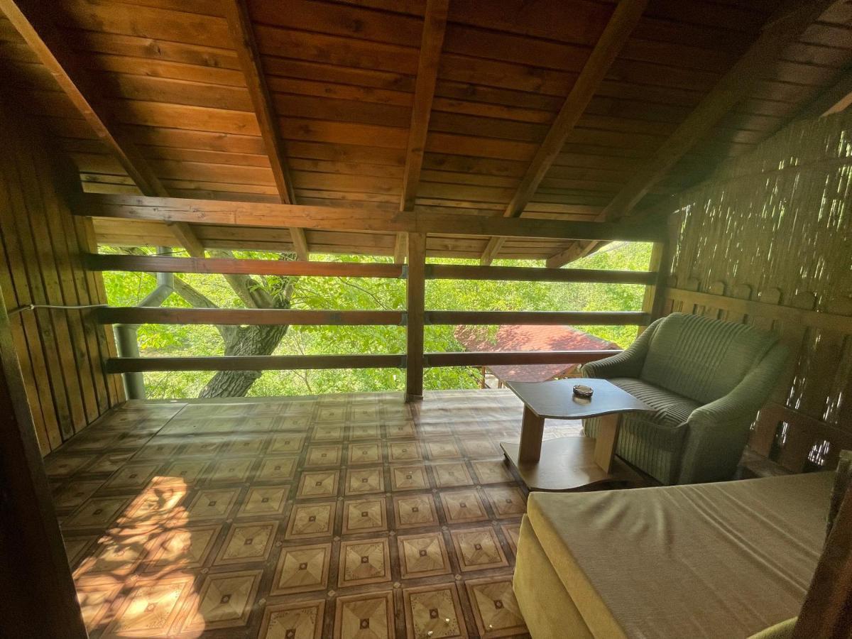 Pensiunea Dora Sasca Farm stay *