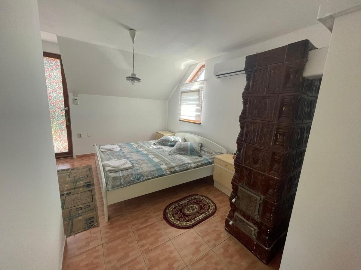 Pensiunea Dora Sasca Farm stay *