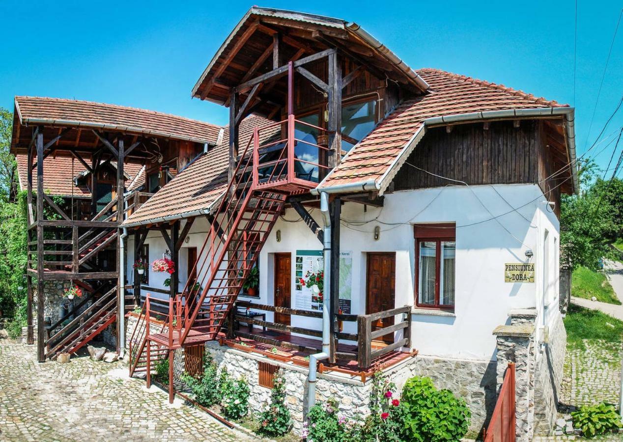 Bauernhof Pensiunea Dora Sasca