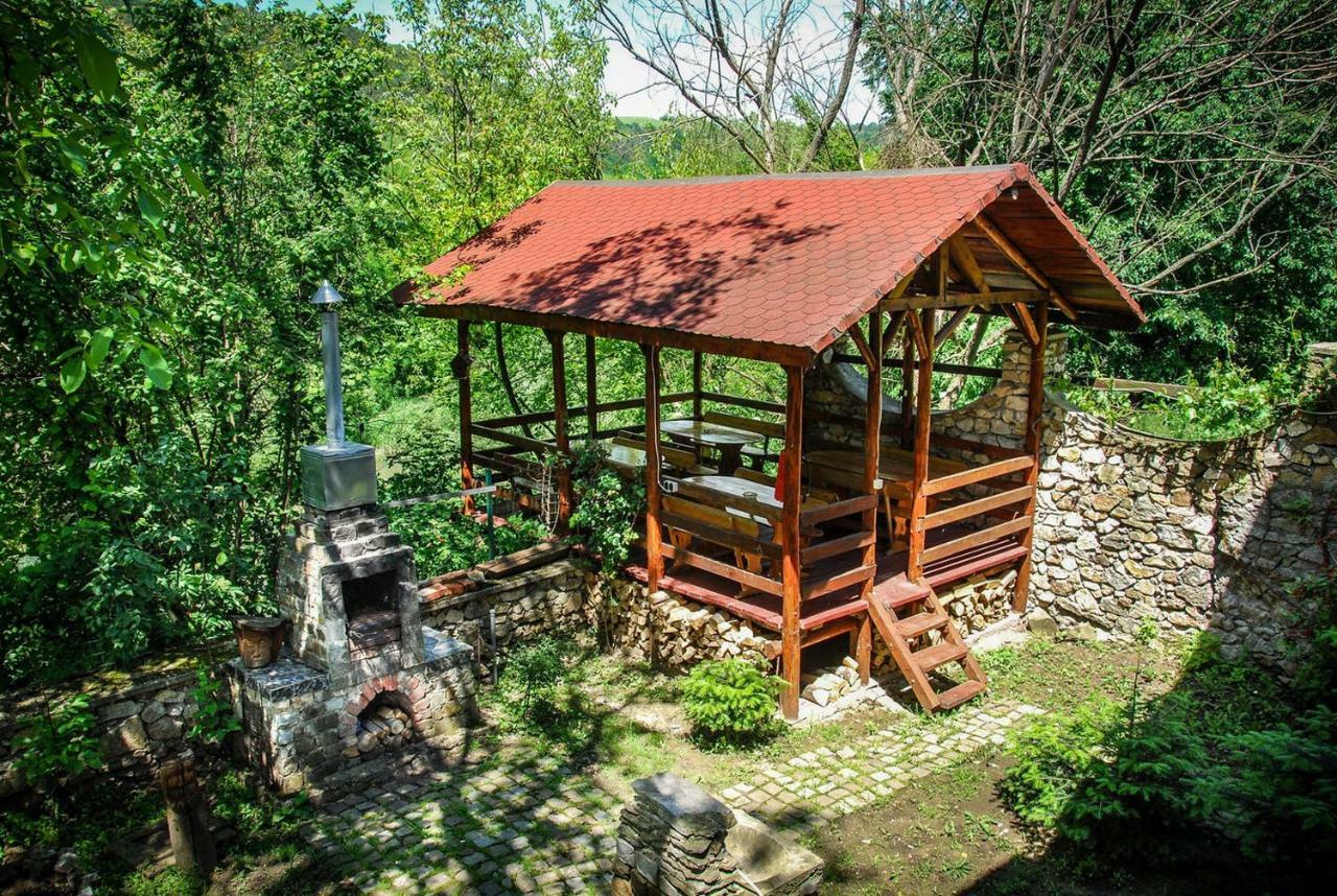 Pensiunea Dora Sasca Bauernhof Sasca Montană